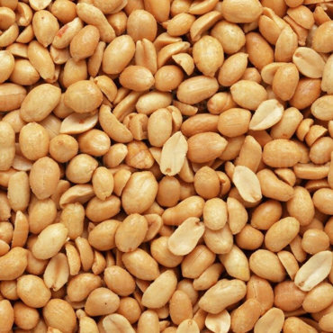Picture for category PEANUTS